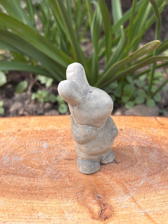 Hase glatt Hase glatt